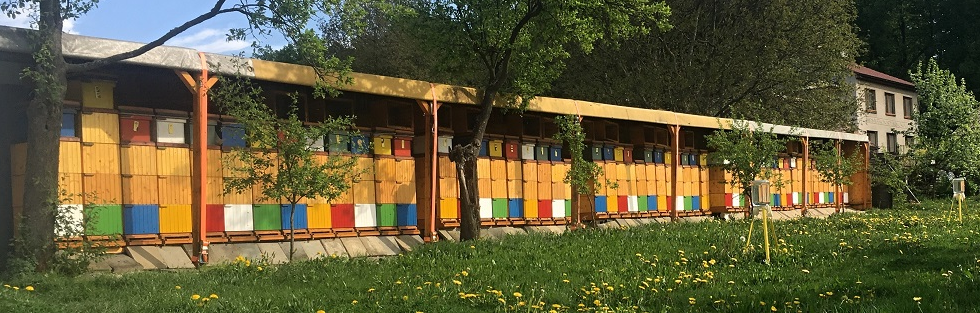 Domů